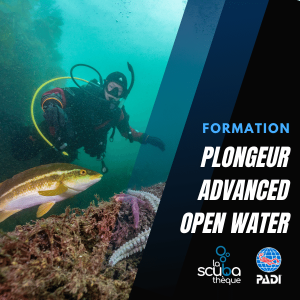 Advanced Open Water Diver PADI - Prochaine Date Le 16 Mai 2024