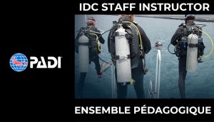 Ensemble Pédagogique IDC Staff  Version Digitale