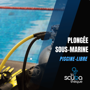 Piscine-Libre Pour La Plongée Sous-Marine (Droit D'accès Pour 1 Personne)